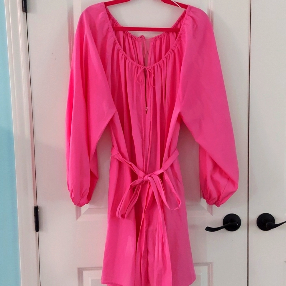 NWT H&M Balloon Sleeve Mini Flare Pink Dress